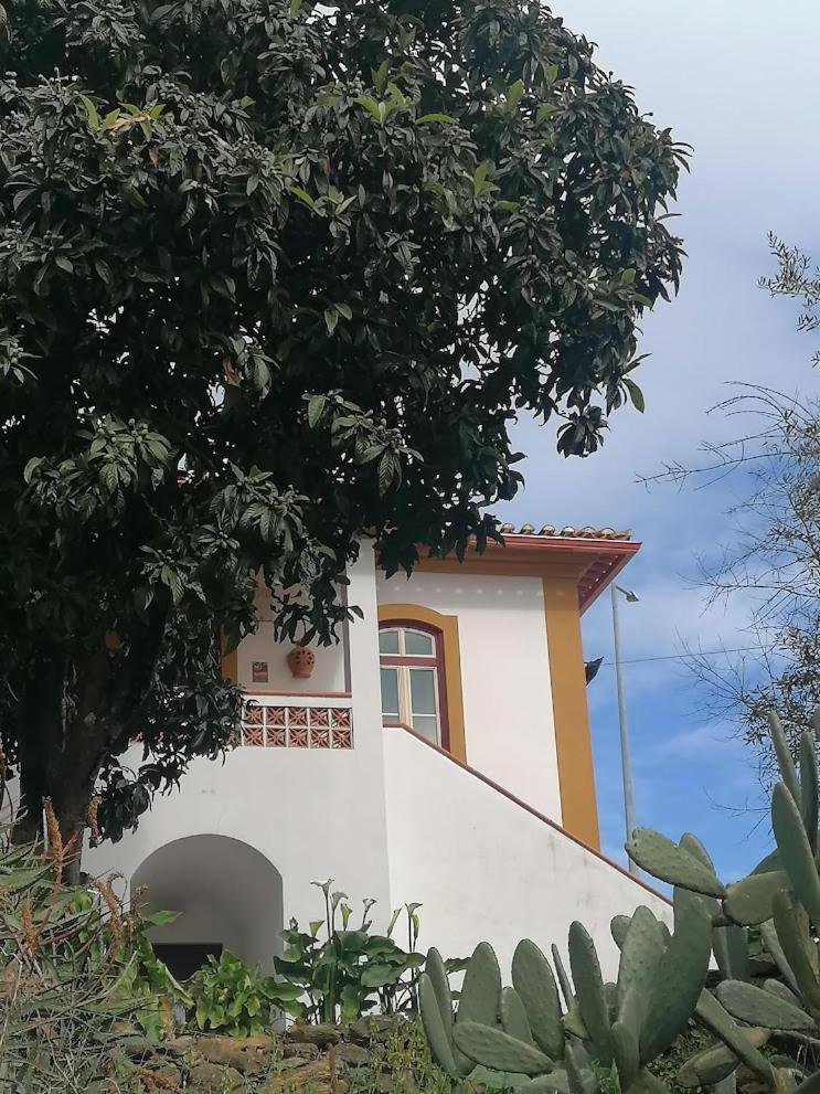 Quinta Do Americano Sardoal Eksteriør billede